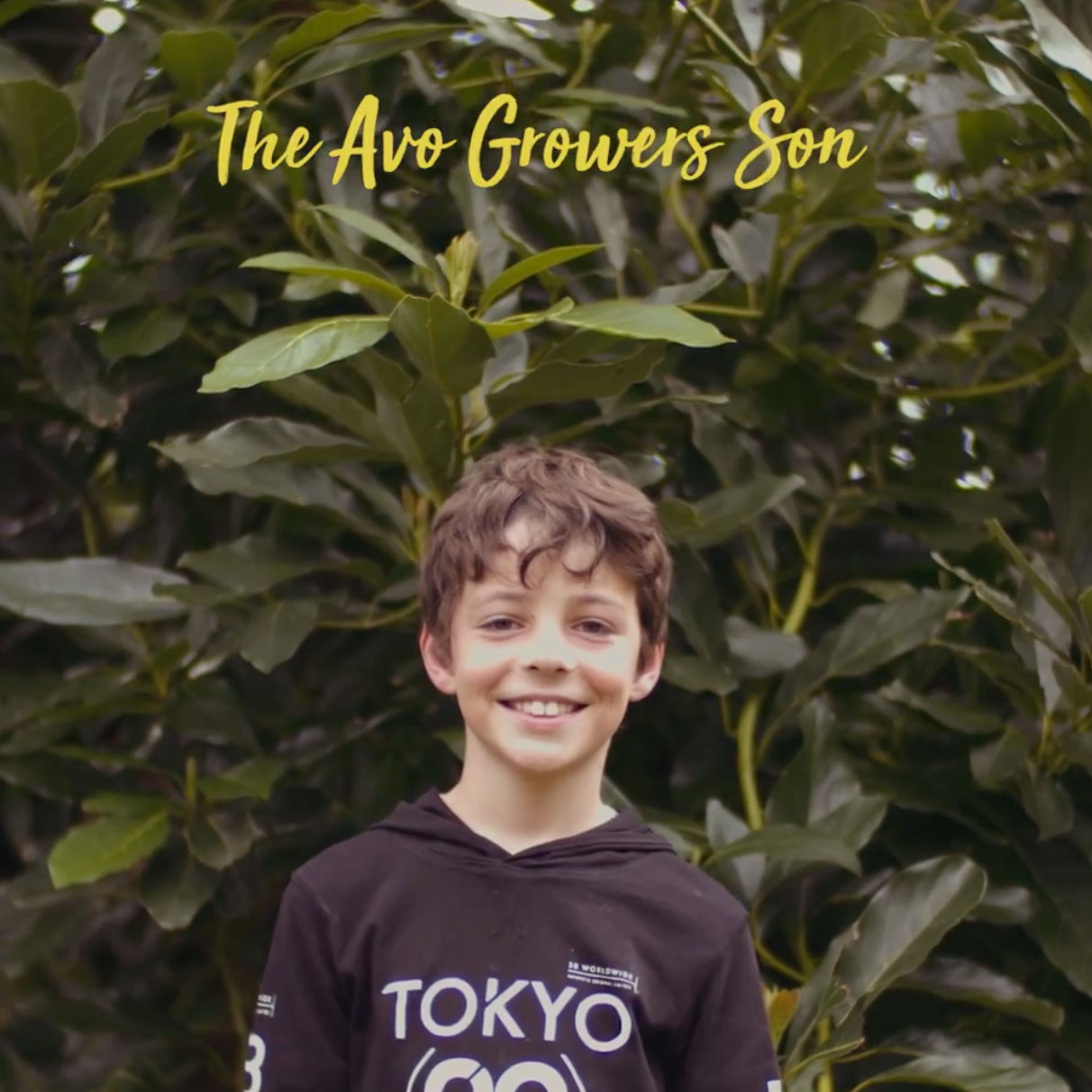 Meet Thomas the avocado grower’s son