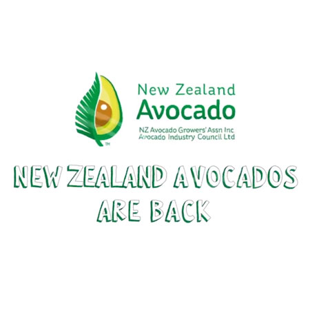 New Zealand premium hass avocados are back!!
