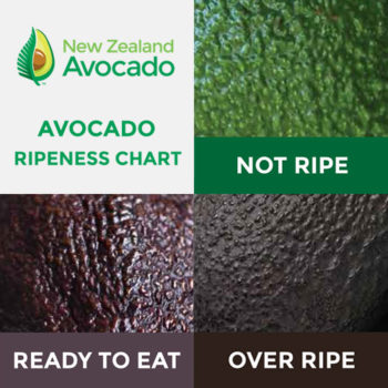 How to select New Zealand avocados – Colour Chart