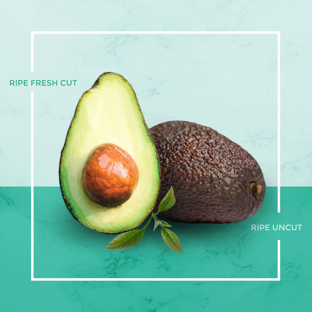 เคล็ดลับการเก็บรักษานิวซีแลนด์อะโวคาโด – How to store your NZ avocado