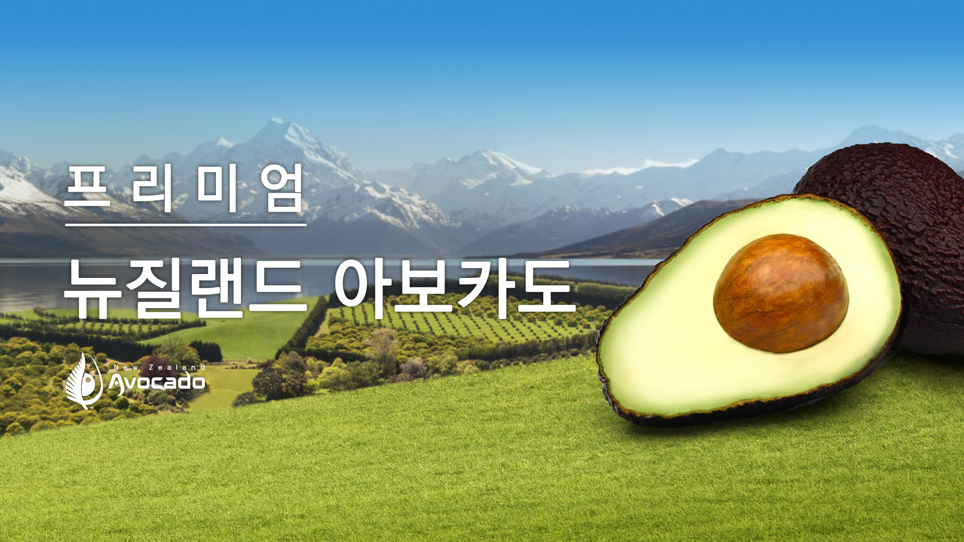 See you again, Korea! – NZ Avocado