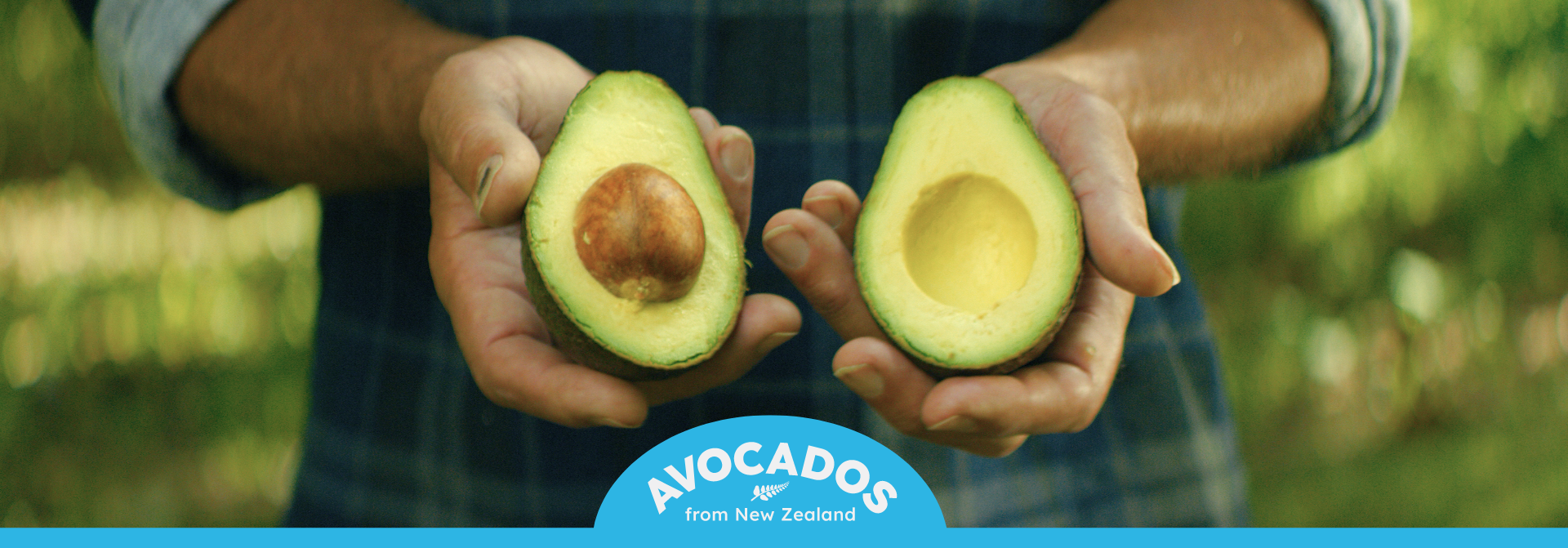 Good growing season puts favourable winds in exporter sails as New Zealand avocado export season begins.